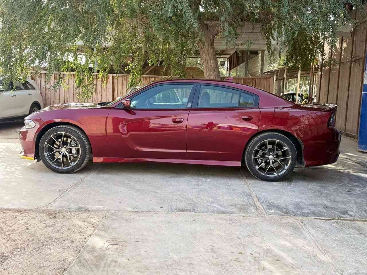 GT 2019  200 سعر مناسب 
حادث سطحي بدون دواخل 

1-جاملغ سكن مبدل 2- بنيد مصبوغ 3- كلير رش جاملغ خلفي ع كدة اثر طخة الباقي كفالة

للأستفسار ***********

مكان السيارة كوت
