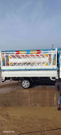 محجل كيه للبيع 2700 07814105074