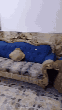 تخم للبيع   عدد مقاعد 15  نضيف ما بي كسر ولا دايس سفنج  للتواصل مع الر...