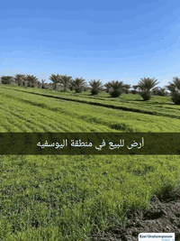 ياالله
(مكتب عقارات اليوسفية)

يوجد لدينا أرضي زراعيه بكافة مناطق (اليوسفية) بمساحات الدوانم (للبيع) من دونم واحد1وما فوق اراضي زرعيه طابوزرعي سند 25/ وطابوملك صرف/وعقد زراعي 17 + عقد 35/على طابو المحموديه وبئنسب الاسعار
يتوفرفيها كل الخدمات من ماء اساله/ وماء سقي نهر وكهرباء وتبليط؟؟؟ 
تصلح مزارع وشاليهات او مخازن ؟ ويوجد دور سكنيه داخل بعض المزارع؟

للستفسار اتصل على الارقام أسفل الشاشه 
‏‪0774 059 9274‬‏يوجد وتساب
‏‪0786 399 5623‬‏
‏‪0751 337 0130‬‏يوجد واساب
