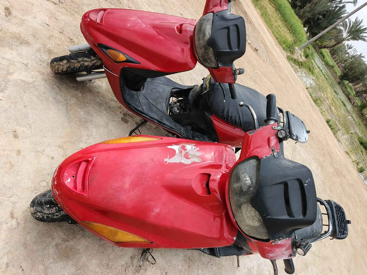 سلام عليكم
دراجات للبيع نوع فراشه شغالات  .... كهربائيات شغاله  تايرات جدد السعر ثنينهن ب 300 المكان الحمزه الشرقي


**إذا كنت صاحب هذا الإعلان وتريد حذفه لأي سبب، رجاءا أرسل رسالة إلى الدعم الفني**