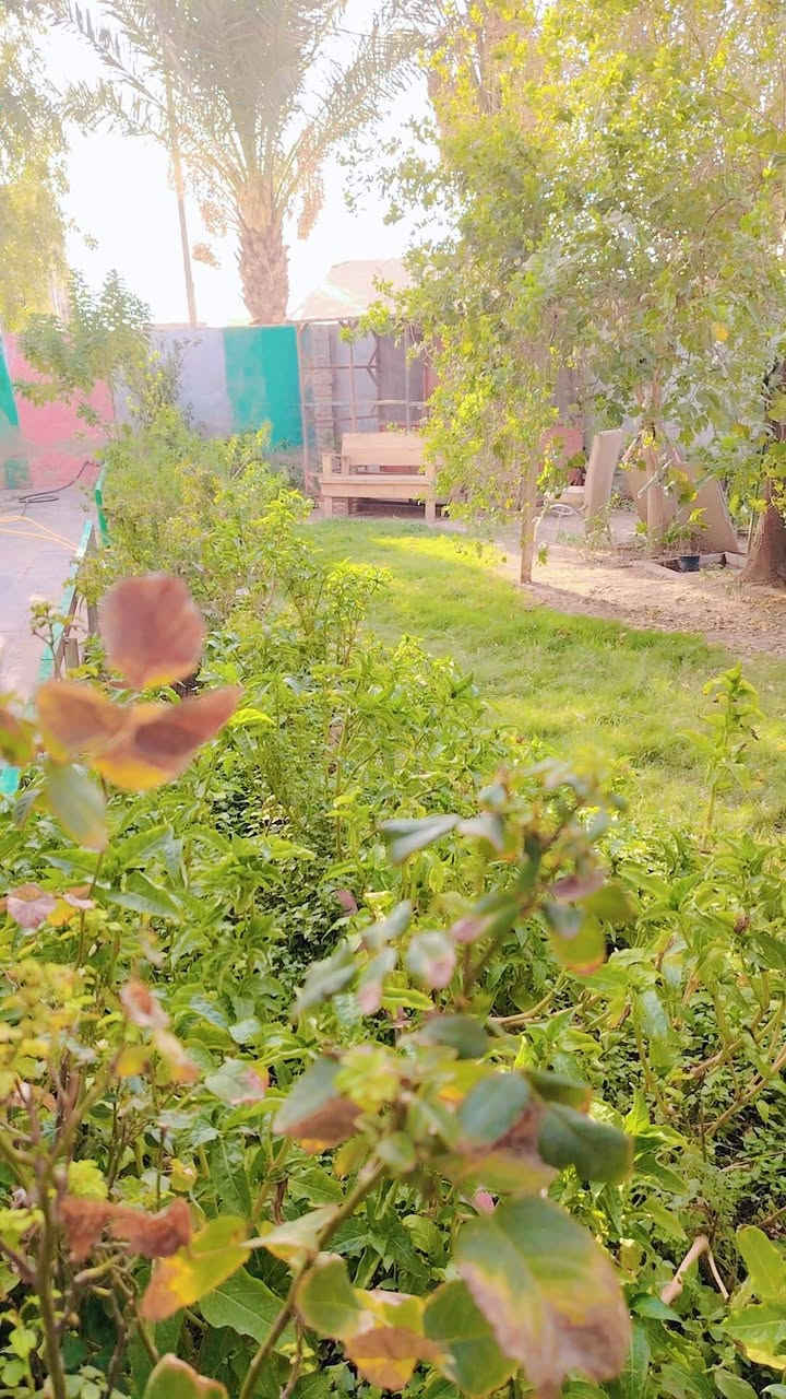 دار للبيع. او مراوس ابيت عله طريح الاحرار المزاك منطقه اشبيليه المساحه الكليه 1250متر تحتوي على دار مساحه160متر يتكون من استقبال +مطبخ خارجي +هول +3غرف. تبليط ابضهر البيت وكدامه. بناء طابوق صب مسلح مع قطعه ابضهر البيت مساحته 400متوفره كل الخدمات بي السعر 85 للستفسار اكثر ***********
