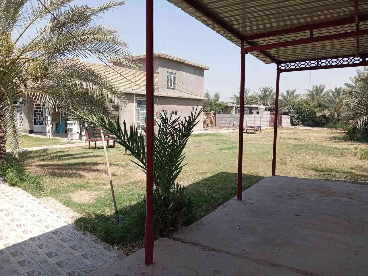 دونم زراعي سند 25 زراعي للبيع في الغراوية تحويل مباشر يحتوي على ثلاث منازل سكنيه يبعد عن الشارع العام 100متر طريق مدخل ( الصويرة. زبيديه ) للاستفسار الاتصال على الرقم
*********** او التواصل على الواتس اب
