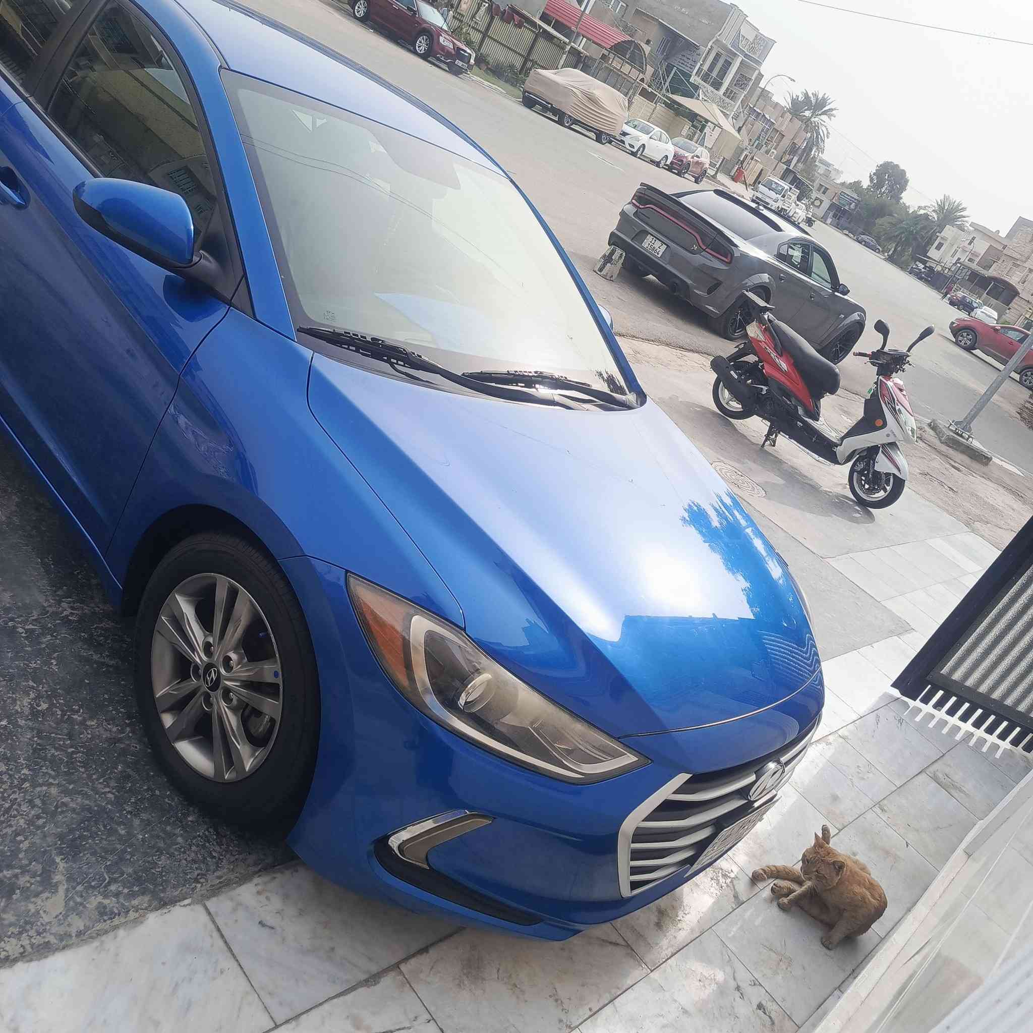 النترا موديل ٢٠١٨ وارد امريكي + رادار جانبي
 الحادث بالصندوق ما واصل للحوض و مبدل الصندوق من نفس اللون بدون ايرباك مكفولة من الصبغ 
*********** مكان بغداد حي القاهره
