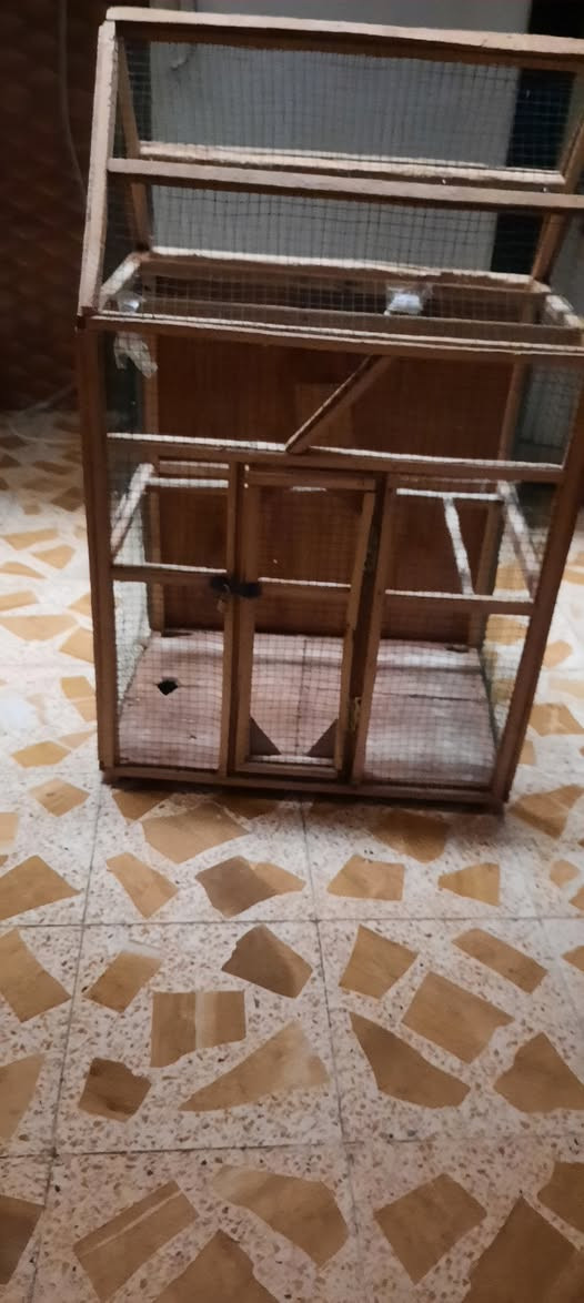 البيع قفص طيور حب السعر 》《35》 عنوان ميسان عماره مغربه اتصل واتساب موجود 《***********》 عمارة, ميسان
