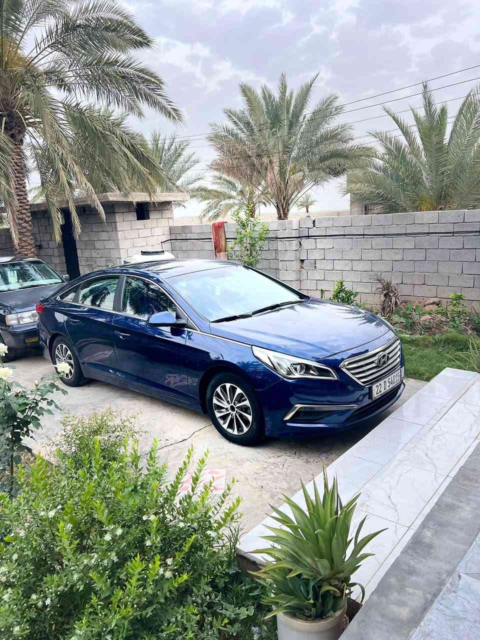 سوناتا ١٧ بدون صبغ مراوس اوبيع سونارها بالمنشور سعرها ١١٤
***********
