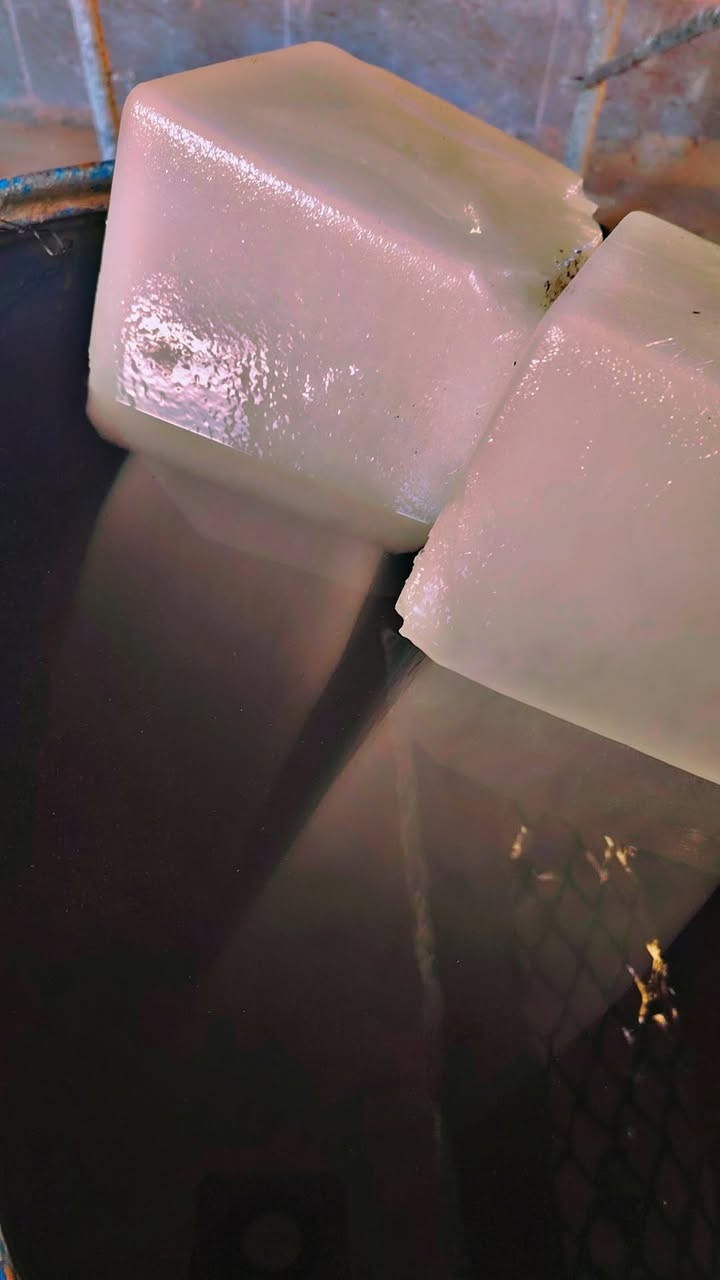 ياالله...اي احد عنده عمل احنه حاضرين داخل مدينة بلد الحبيبه فقط❗الاتصال على الرقم *********** ❗والماعنده يدلل👍.. لبخ خارج داخل.. نثر.. واجهات فوم. حجر سيراميك.. جص.. بورك.. بيتك امانه 🌺انسب الأسعار 🌼
