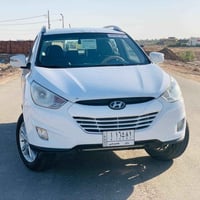 توسان خليجي • ٢٠١٣ • صبغ فقط