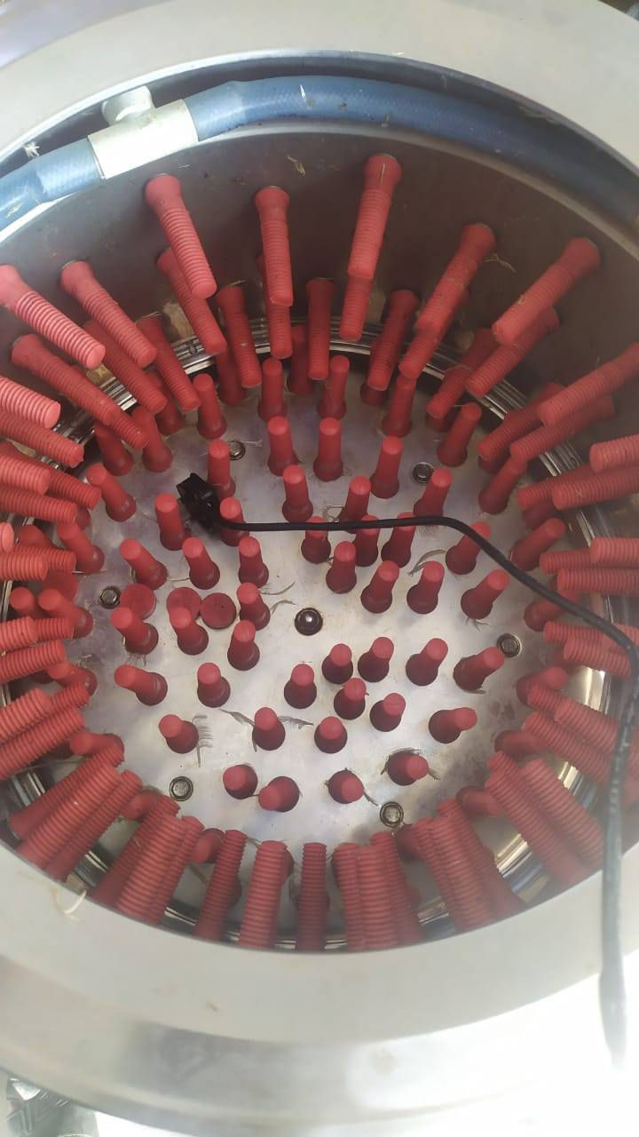 السلام عليكم البيع هلاسه تنضاف دجاج مستعمله 10ايام جديده المكان كربلاء الاستفسار***********
