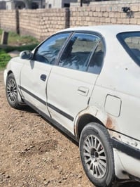 كراون بطة • ١٩٩٤ • فحص بغداد