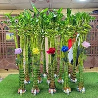 عصا موسى • دورق • تواصل خاص