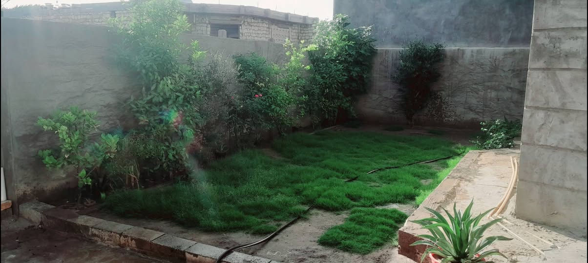 دارللبيع المساحه الارظ ٣٥٠ متر في منطقة جويبه نساف قرب محطه وقود غصن الزيتون للاستفسار علا هاذه رقم *********** ملاحظة اني ليس متواجد علا الفيس بوك اتصل بيك خير ودلل وان شاءالله ماقصر وياكم
