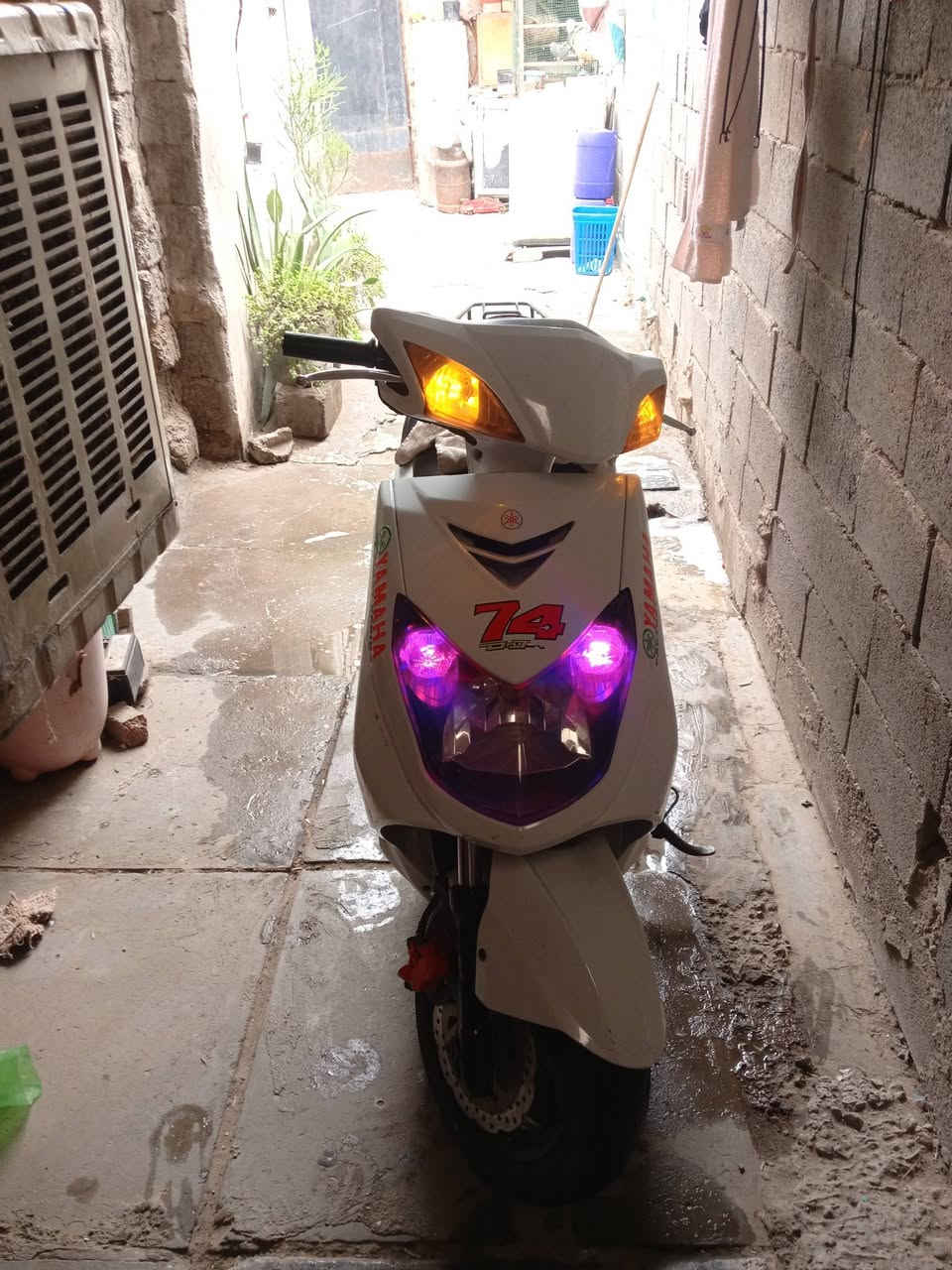 السلام عليكم دراجه سكنس فحل للبيع دراجه نضيفه نفس ماموضحه بل صور سعر 950 وبيه مجال دراجه نوزل خطين *********** للستفتسار
