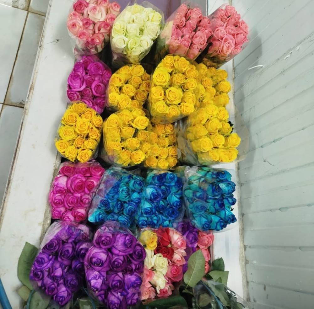 ورد طبيعي من مزارع ايران جاهز للبيع الي يحب يتواصل ويايه


**إذا كنت صاحب هذا الإعلان وتريد حذفه لأي سبب، رجاءا أرسل رسالة إلى الدعم الفني**
