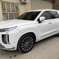 فول • رقم بصره • للبيع