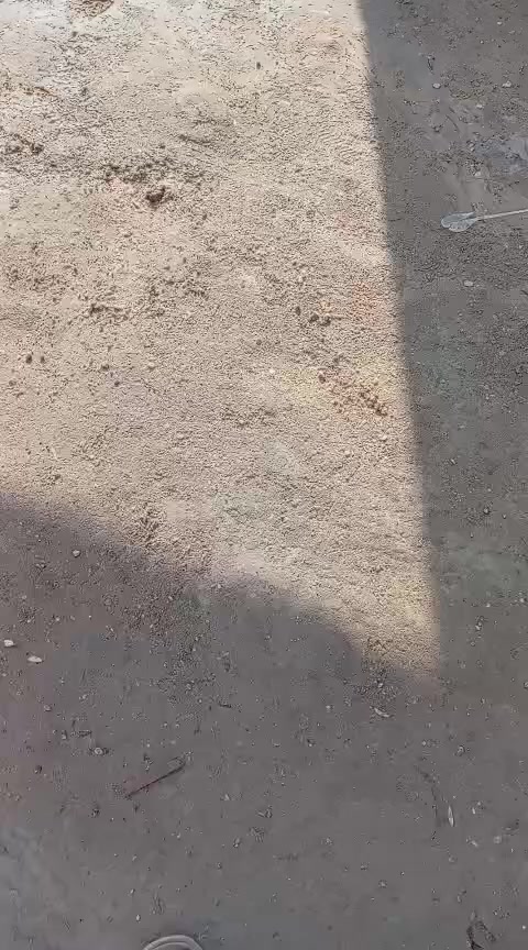 دار للبيع منطقه الرشاد مقابل ملعب سجن النساء سابقن واقع حال مساحته ١٠٠ خدمات كامله سعره ٢٤ وبي مجال قليل ***********
