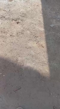 دار للبيع منطقه الرشاد مقابل ملعب سجن النساء سابقن واقع حال مساحته ١٠٠...