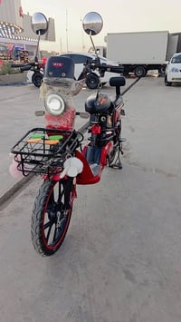 باسكل شحن • بطاريتين • بصمه