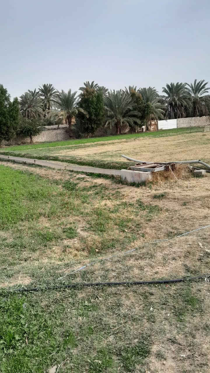 سلام عليكم
قطعه ارض دونمين للبيع 
ابو غريب الشيحه قريب مركز صحي عكركوف 
تبعد عن سريع ابو غريب  دقيتين.. تفاصيل اكثر خاص 

انتباه!  غير صالحة للشاليهات


**إذا كنت صاحب هذا الإعلان وتريد حذفه لأي سبب، رجاءا أرسل رسالة إلى الدعم الفني**