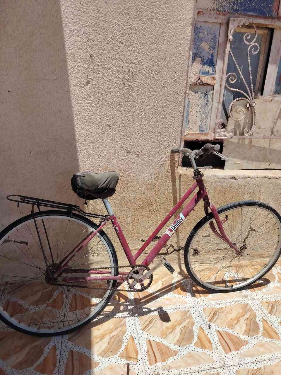 بسكلات البيع مكان بصره كرنه ثغر ريدلهن ترتيب الوحد  15الف


**إذا كنت صاحب هذا الإعلان وتريد حذفه لأي سبب، رجاءا أرسل رسالة إلى الدعم الفني**