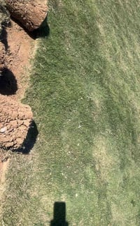 ثيل هندي شرط النظافة درجة اولى عرض خاص سعر المتر 2000 للطلب الاتصال عل...