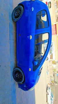 باندا • ٢٠١٣ • نحف