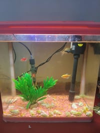 حوض سمج حجم كبير للبيع نضيف  جهاز اوكسجين شغال جهاز تدفئه شغال اي عيب ...