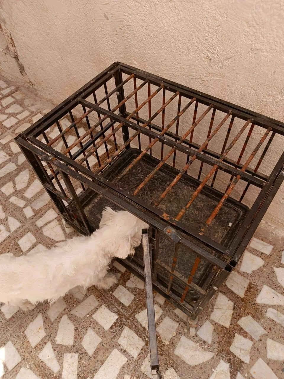 غراض للبيع كلمن وسعره مكاني نجف اي استفسار خاص


**إذا كنت صاحب هذا الإعلان وتريد حذفه لأي سبب، رجاءا أرسل رسالة إلى الدعم الفني**