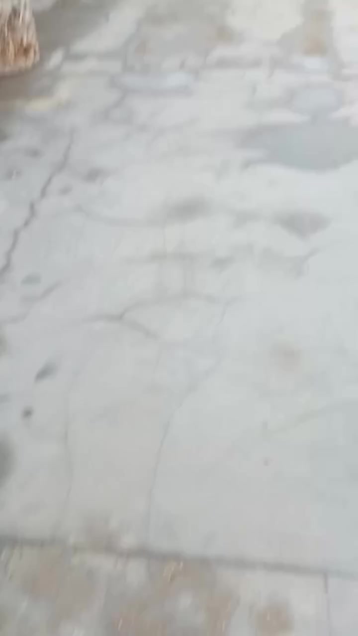 السلام عليكم
بيت مساحته 230 يحتوي على صاله مساحه 10غرف نوم 2مساحه 5×4ويحتوي على حديقه كبيره مساحه 24×5
موقع خلف كليه ادره واقصاد الفلوجه السكنية السعر 45وبي مجال رقم الهاتف ***********
