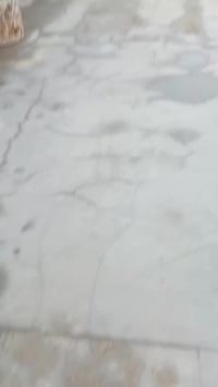 الفلوجه السكنية • 230م • حديقه 24×5