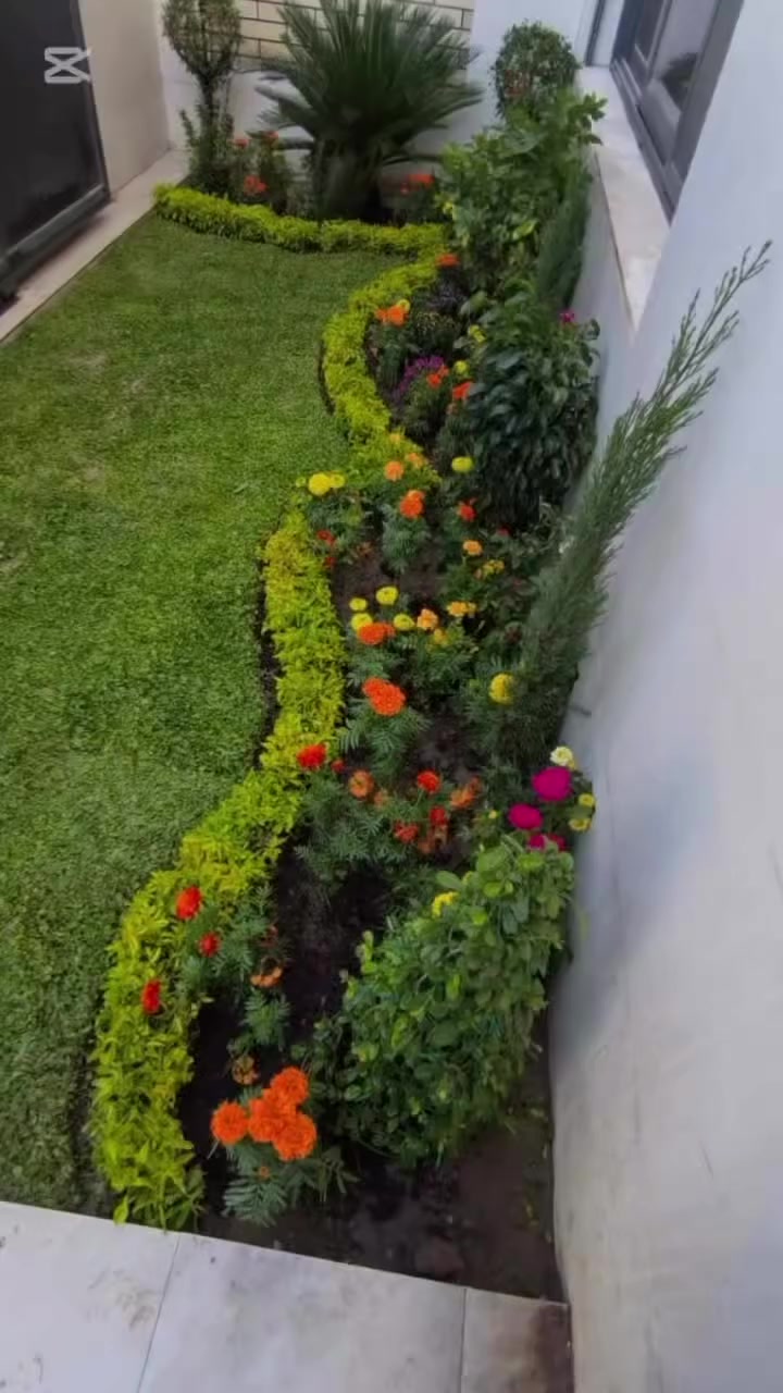 تريد حديقة تغيّر شكل بيتك بالكامل؟ 🌿
إحنا نحول المساحة العادية إلى جنة خضراء بلمسة هندسية راقية.
تصميم حدائق، ثيل طبيعي  إنارة ليلية، وأنظمة ري حديثة.
إذا تحب بيتك يصير أجمل مكان للراحة…وشلالات 
تواصل ويانه الآن، وخلي حديقتك تحچي عن ذوقك."
النهاية بالفيديو:***********
"كادر كاظم العنزي لتصميم الحدائق في– السماوة
اتصل الآن: ***********"#حدائق #khv27 #السماوه_بابل_الوركاء_الناصريه_المجد_دوانيه_كربلاء_نجف_الخضر_البصره
