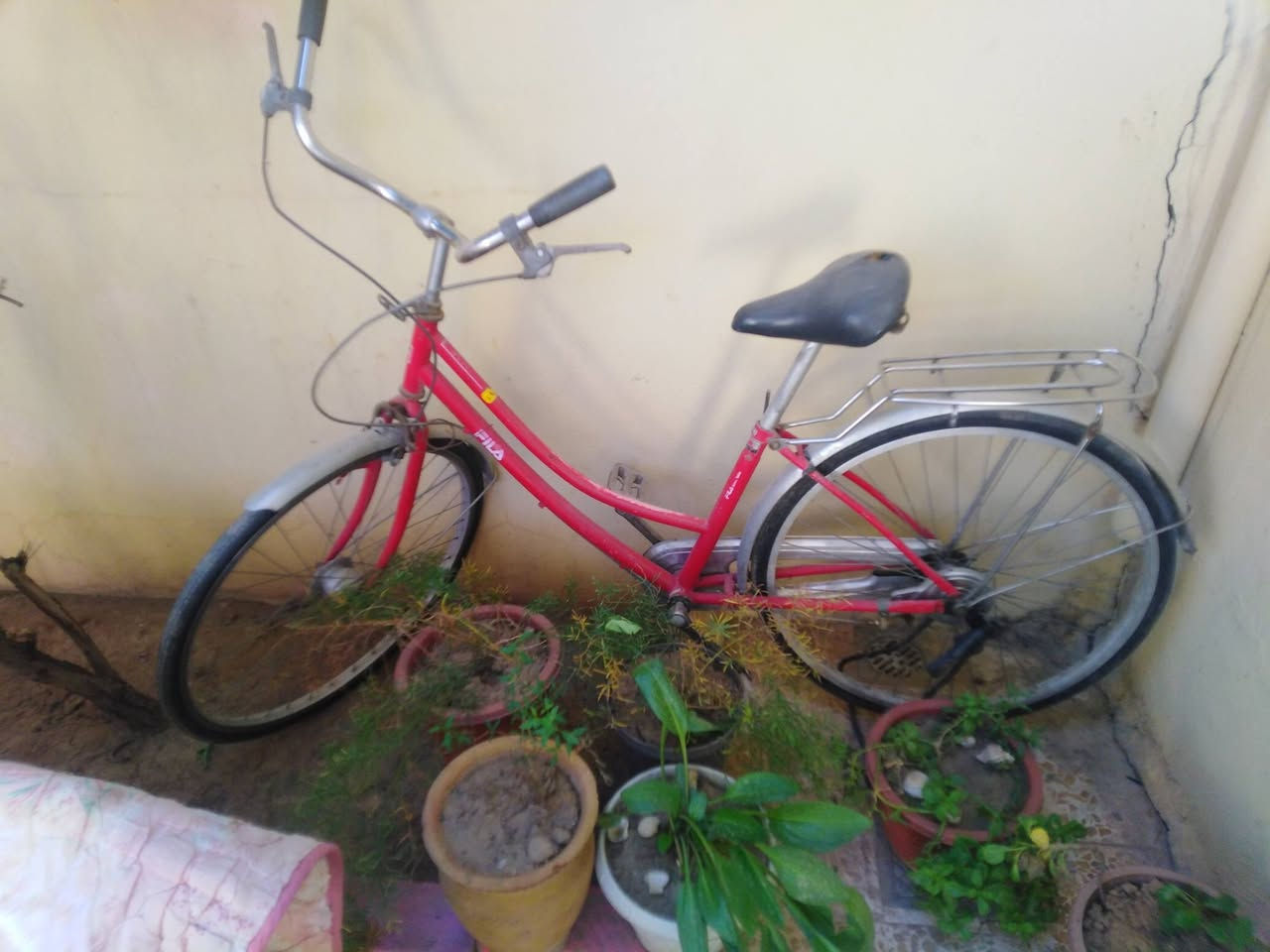 للبيع ماطور شحن عاطل احتمال عطل بسيط + بايسكل بحالة جيدة
الاتصال على الرقم ***********  :***********
