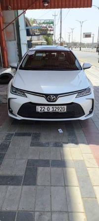 كورلا • ٢٠٢٤ • رقم اربيل
