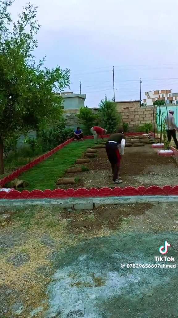السلام عليكم
يوجد لدينا قص الاشجار و  الثيل وترتيب الحدائق  وزرع الثيل ولدينا  ان شاءالله ثيل ايطالي درجه اولى يوم السبت يوصلني  وبعد راح يوصلني حجر ملون للحدائق 

 باسعار مناسبه  تريد تحجز اتصل وتدلل 

***********
