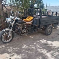 ستوته • ٢٠١٤ • السماوه الخضر