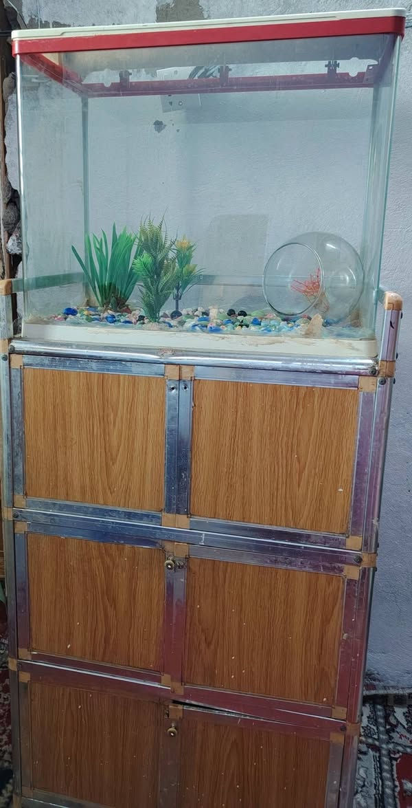 السلام عليكم حوض مع كومدي للبيع ب٧٥ قفل بغداد البياع


**إذا كنت صاحب هذا الإعلان وتريد حذفه لأي سبب، رجاءا أرسل رسالة إلى الدعم الفني**