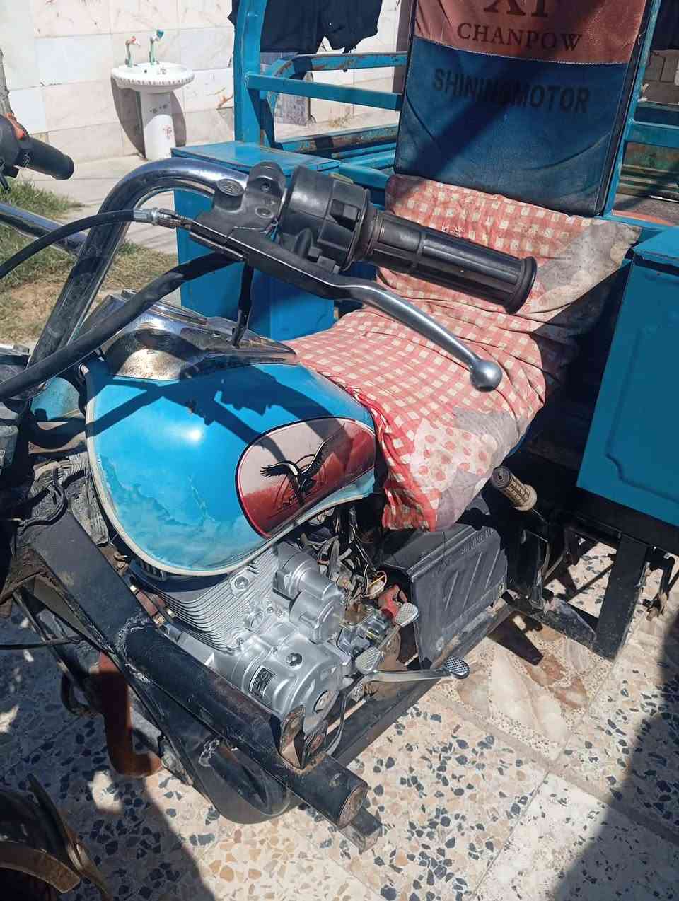 السلام عليكم مكلف بل نشر ستوته موديل 2019 ستوته خلوه نصيفه اوارق اصولي مكتب حسين محرك بل جيس 2026شلعه ومعدل ستوته خير من الله مكانه كربلاء السعر خاص او تصال بل ***********
السلام عليكم مكلف بل نشر 

ستوته موديل 2019 ستوته خلوه نصيفه اوارق اصولي مكتب حسين محرك بل جيس 2026شلعه ومعدل ستوته خير من الله مكانه كربلاء السعر خاص او تصال بل ***********
مو بس تخابر وتعال وتشلع عيوني
