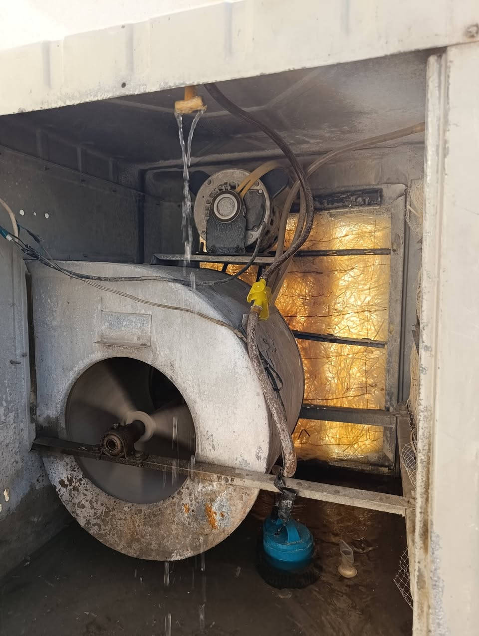 2  موبەریدەی  بێ عەیب و  مەزبووت  ماتۆڕ  چاکیان  لەسەرە  هەوایەکی  خۆش  هەیە  بەشەرت   دانە  سپیەکە  35 هەزار  شینەکە  45 هەزار  سپیەکە  تاکەکانی  تۆزێ  بۆیاخی  هەڵی  یاوە  بەڵام  وەک  ماتۆڕو  شەفت و  بوش  قایش  هەمووی  بەشەرت  هەوایەکی  زۆر  بەقوەتیان  هەیە  ،،،
تەباخێکی   4  چاو  ژێری   فڕن  یەک چاوی  بۆریەکی  پێوەی  نەماوە  3 چاوەکەی  تری   بەشەرت  سینی  فڕنەکەی  تیانیە  ،،،
سعری  35هەزار    شوێن   سلێمانی   ،،،،،،،،
2  موبەریدەی  بێ عەیب و  مەزبووت  ماتۆڕ  چاکیان  لەسەرە  هەوایەکی  خۆش  هەیە  بەشەرت   دانە  سپیەکە  35 هەزار  شینەکە  45 هەزار  سپیەکە  تاکەکانی  تۆزێ  بۆیاخی  هەڵی  یاوە  بەڵام  وەک  ماتۆڕو  شەفت و  بوش  قایش  هەمووی  بەشەرت  هەوایەکی  زۆر  بەقوەتیان  هەیە  ،،،


**إذا كنت صاحب هذا الإعلان وتريد حذفه لأي سبب، رجاءا أرسل رسالة إلى الدعم الفني**