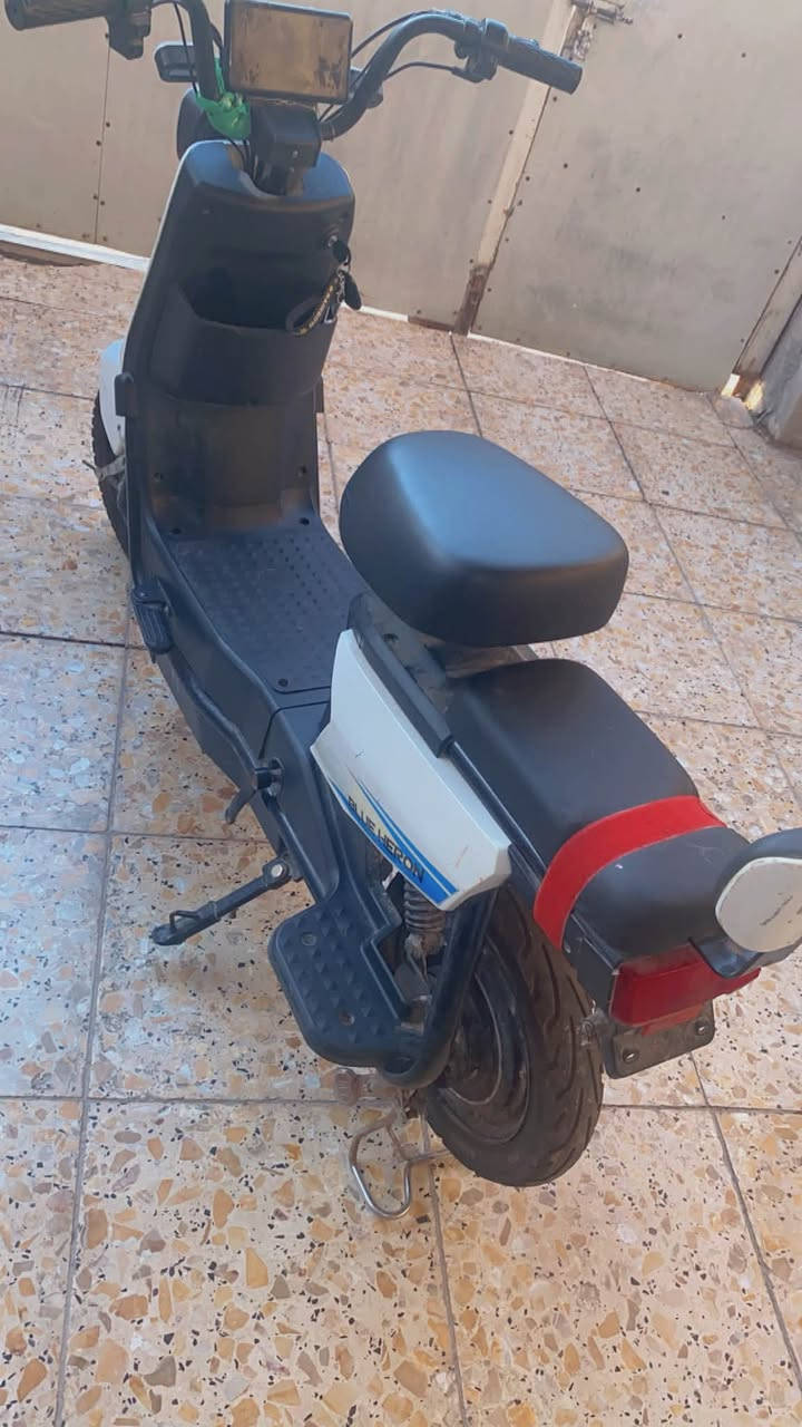 حبايب دراجه شحن نضيفه مال بيت نقص باترين فقط والباقي كله شغال ذني غراضها سله وكفر خلفي ماشادهن مكاني بغداد الدوره السعر قيم واخذ هذا رقمي***********
