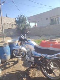 دايون • عظم • فيها مجال