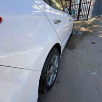 النترا • ٢٠١٧ • ارقام اربيل