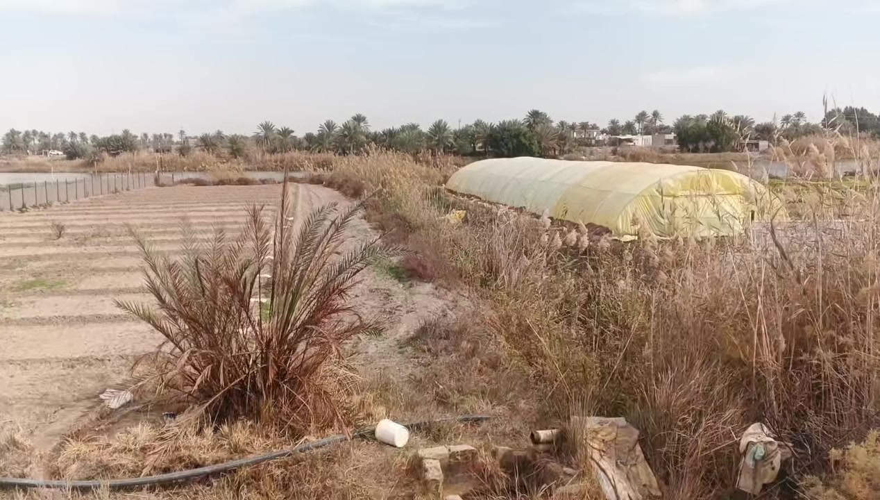 بيت زراعي معه بستان  مساحه دونم + شاطئ مساحه الف 
يحتوي لبيت ع 4 غرف وصاله ومطبخ وصحيات وساحه جبيره وحديقه وبستان كبير يقع ع شط الفرات قرب مدرسه شريف رضي وجهه ع الشط سعر 115 
***********

‏‪***********‬‏
