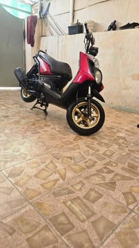 سكنس جبلي • كرزية • اوراق