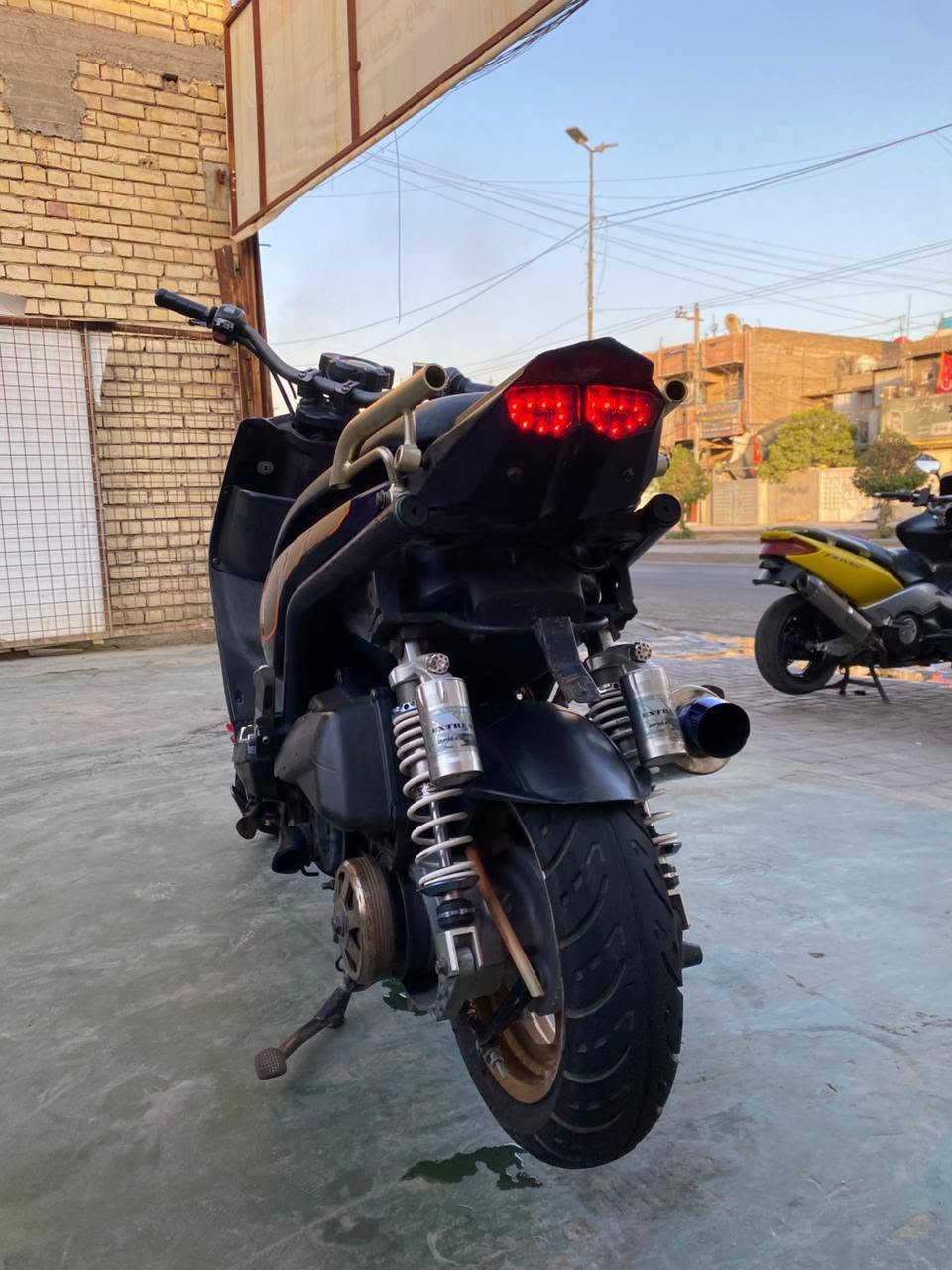 سلام عليكم سكنس جبلي للبيع مكفوله كفاله عامه من كلشي مكان بغداد سعر 950وبيه مجال للطيبين رقم ***********🖤
