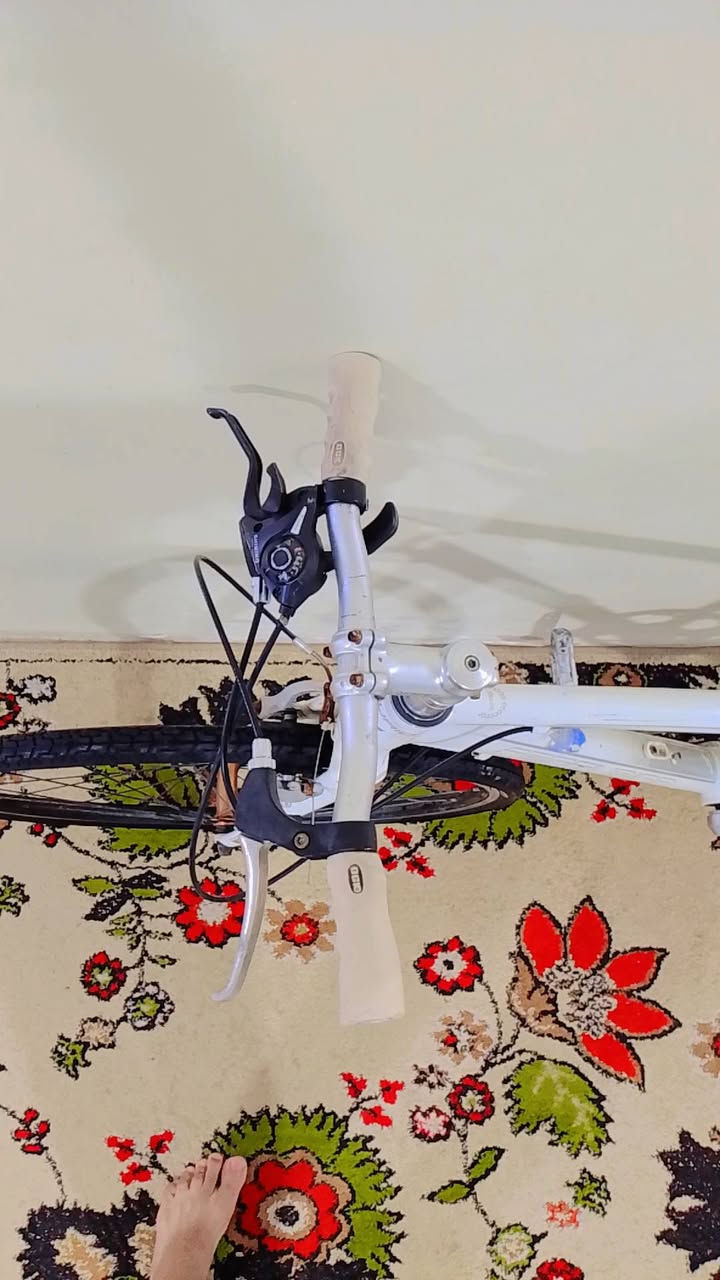 السلام عليكم بايسكل🚴((معدن المنيوم مقاوم للزنجار ))         c700 ماركة  CENTURIDN  
بايسكل جديد  كير 1/7 نمر 
حجمه 26🚴
ابريكات امامي خلفي شغالات 
كشن رياضي 
لون ابيض  
ويل الالمنيوم  سعره 75 وبي مجال 
مكاني بغداد مدينة الصدر الاستفسار علة الماسنجر او على الرقم ***********
