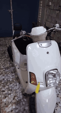 السلام عليكم 
بوليس للبيع دراجه نضيفه مكفولة 
مكينه بلادي ممفتوحه كلشي بلادي
داخل كريمي مميز سعر 750 تواصل موجود واتساب 
***********
