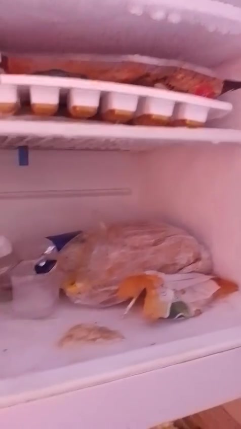 ثلاجه البيع الفوك يجمد كولشي مابي الجوه بروده ضعيفه السعر 80بي مجال الدوره مكاني


**إذا كنت صاحب هذا الإعلان وتريد حذفه لأي سبب، رجاءا أرسل رسالة إلى الدعم الفني**