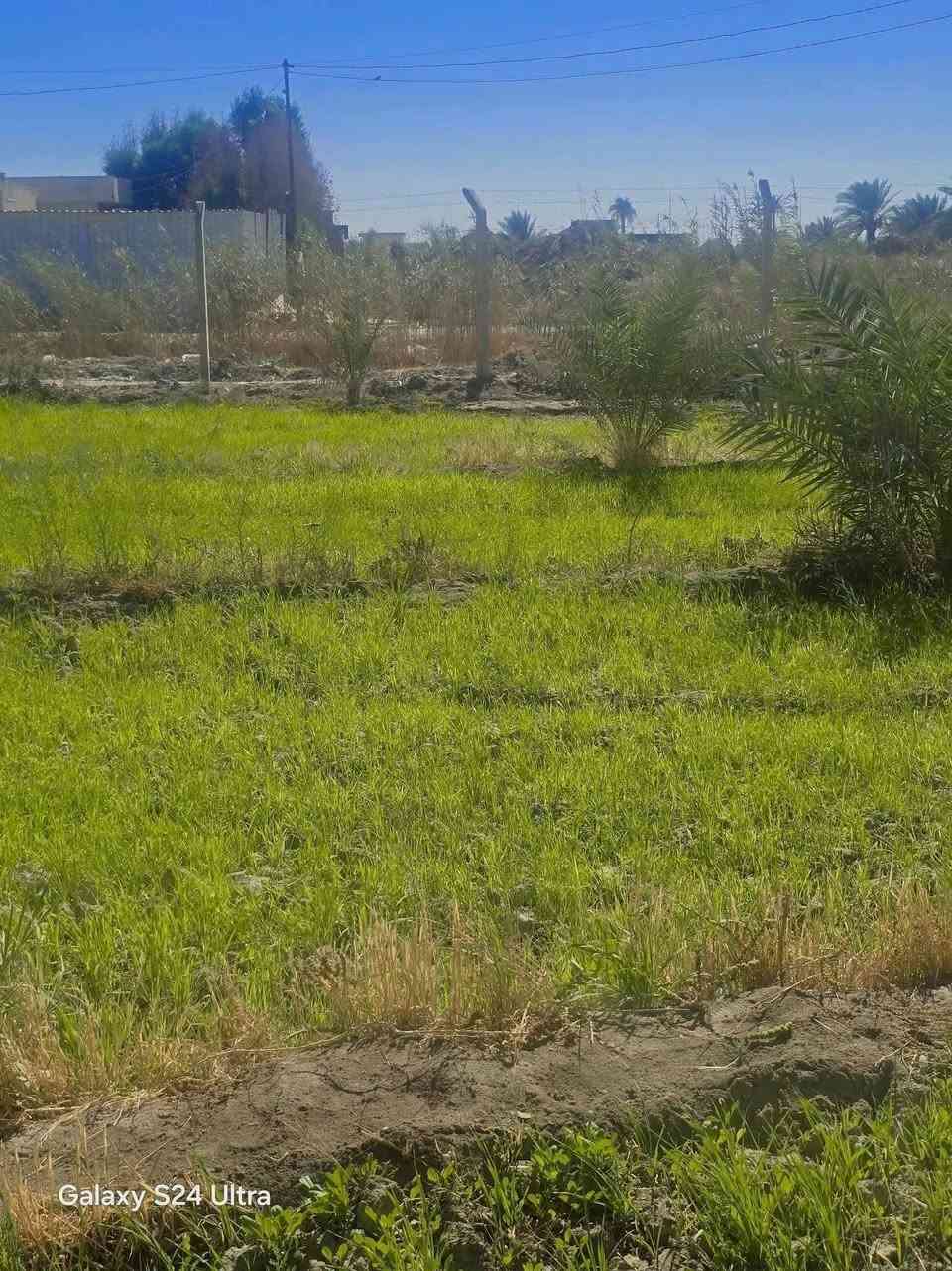 بسم الله توكلت على الله
قطعه للبيع 
طابو زراعي  سند ٢٥ 
المساحة 2000 الواجه 55م
تحتوي على مغروسات
 متوفرة كافة الخدمات 
كهرباء - ماء أسألة -
 (طريق حله نجف ) 
خلف جامعه بابل
تبعد عن التبليط 150 متر تحويل مباشر 
***********
