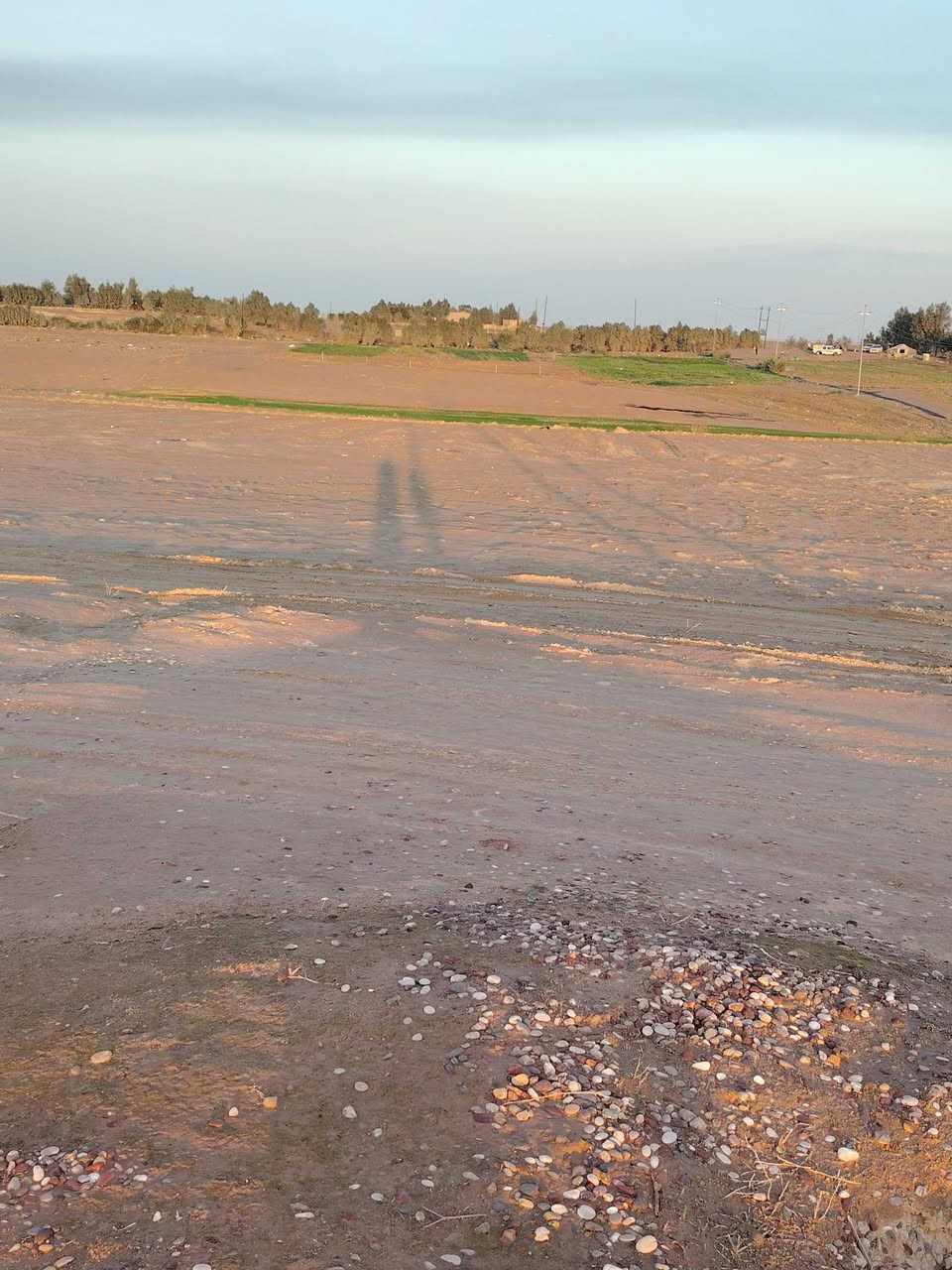 السلام عليكم  ارض للبيع في جزيرة بعاجة قرب بساتين العلي الكصب  الارض تصلح للزراعة الصيفية والشتوية فيها بئر ماء حلو صالح للشرب عمق ٦٥متر . والكهرباء موجودة في بداية الأرض وفي نهاية الأرض  فيها كم شجرة نخل وزيتون ورمان ... الأتصال  ... ***********... ***********
