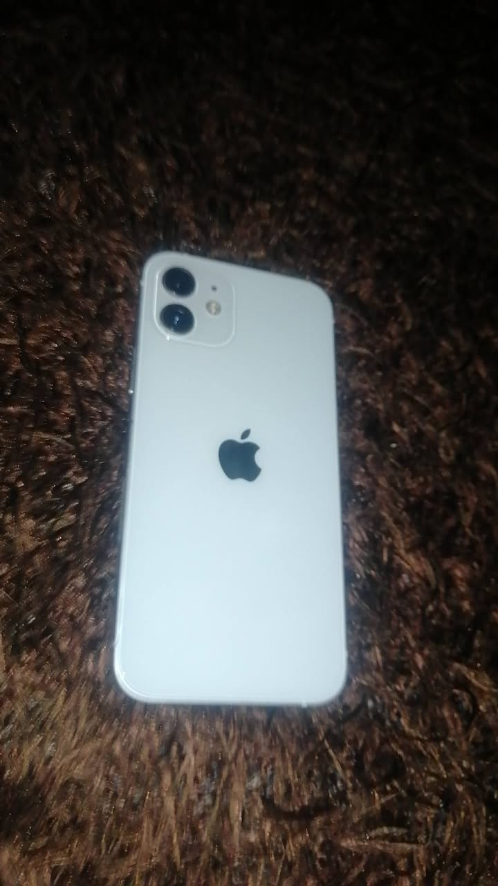 جهاز ١٢ عادي بطاريه مبدل فيس أيدي شغال شاشه بلاد كامرات مابيهم كل عيب جهاز تخطي قيم مراوسه هم يرهم بايفون


**إذا كنت صاحب هذا الإعلان وتريد حذفه لأي سبب، رجاءا أرسل رسالة إلى الدعم الفني**